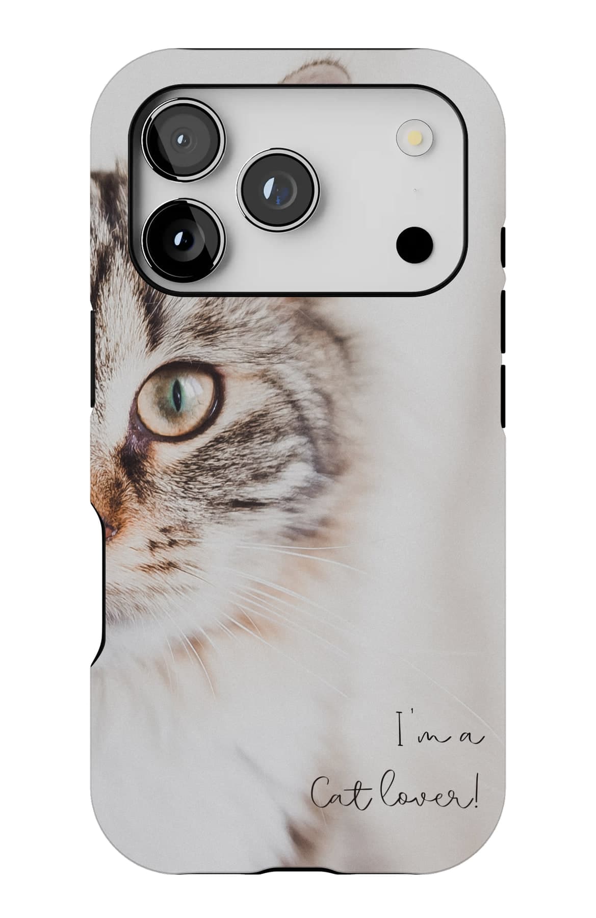 A long-haired cat, and no doubt whose side you are on. Shown on an iPhone.