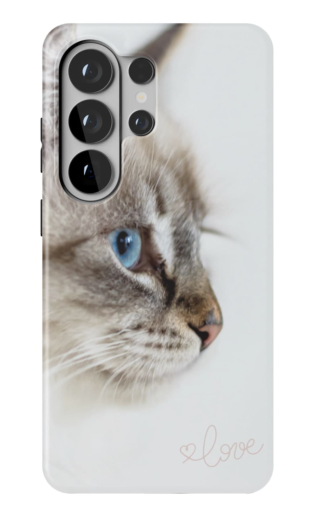 A grey cat in profile, caught mid-thought. Shown on a Galaxy.