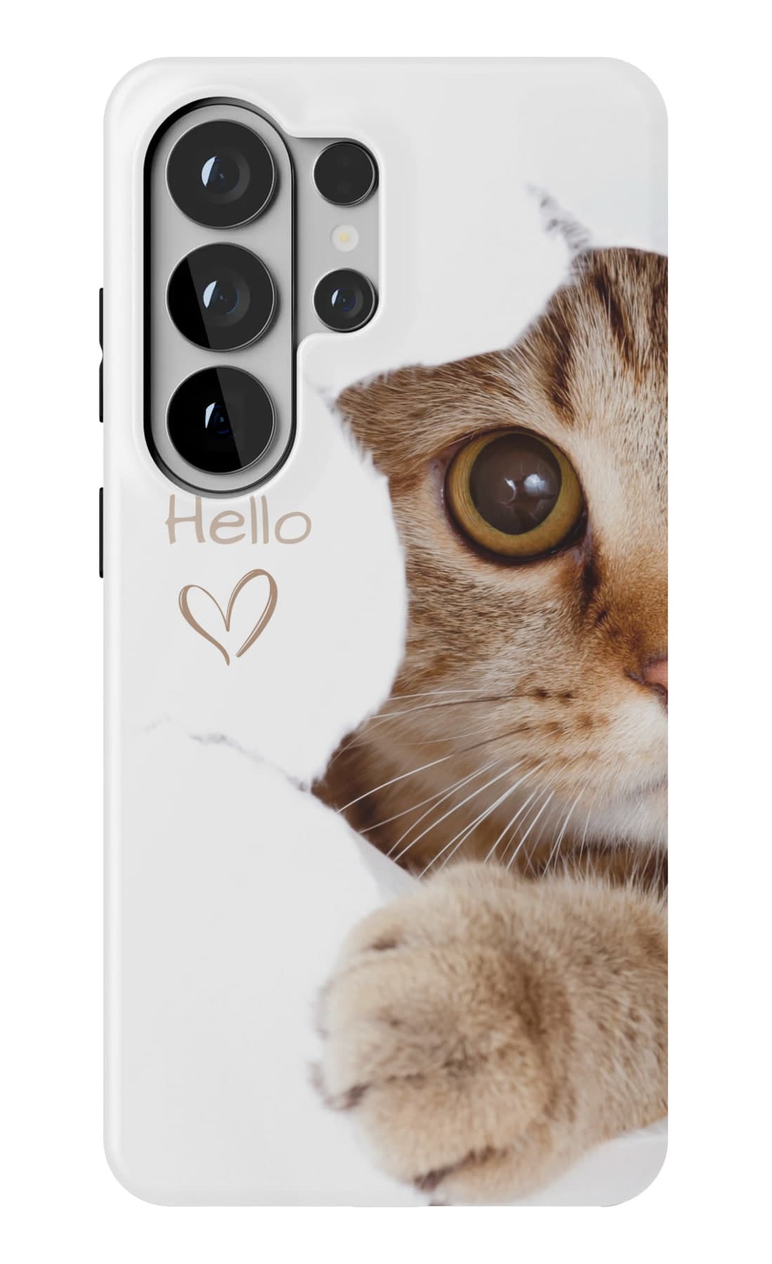 A tabby kitten looking up to say hello. Shown on a Galaxy.