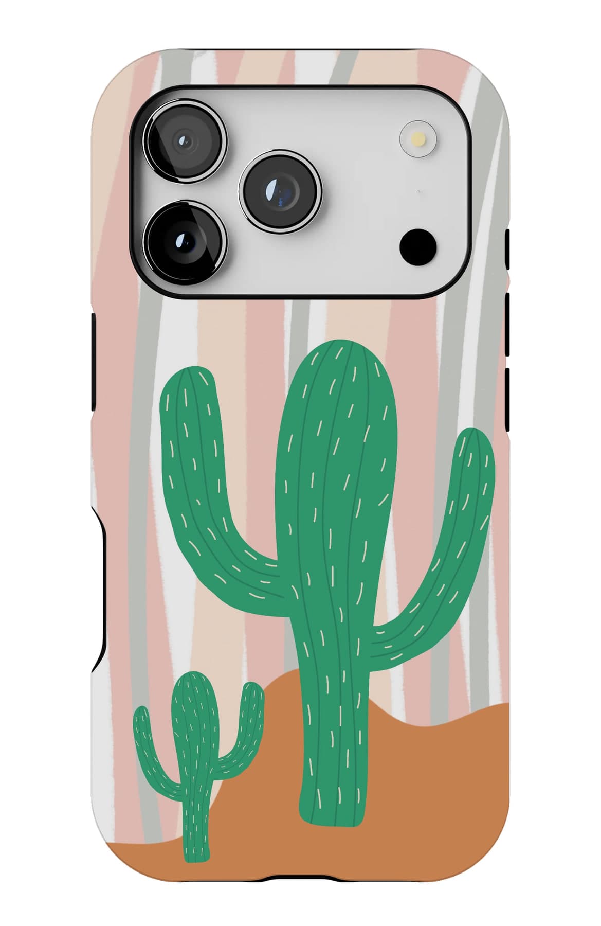 Two cacti standing in warm sand. Shown on an iPhone.